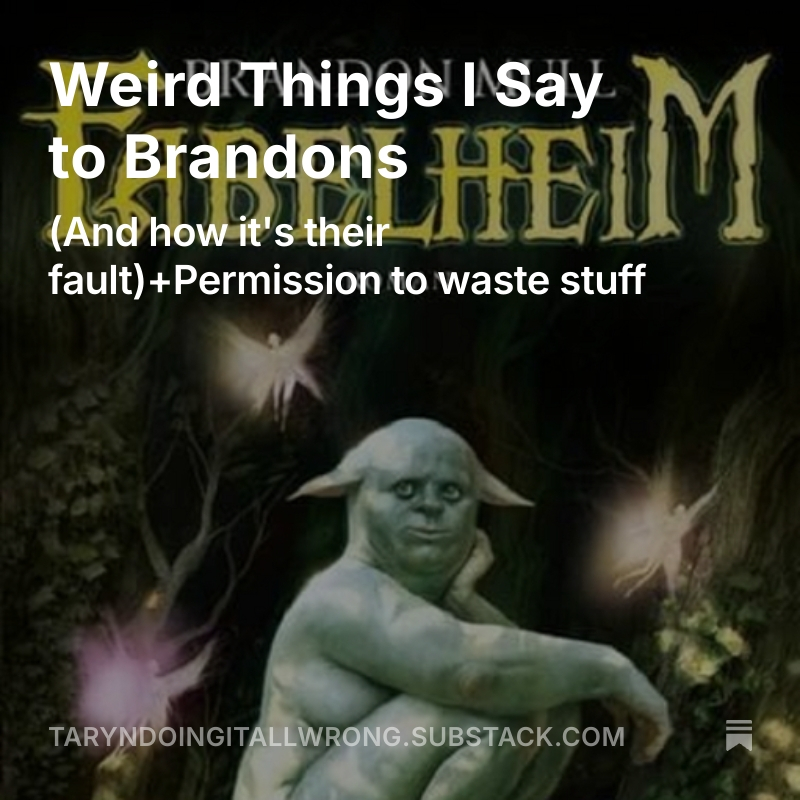 Weird Things I Say to Brandons