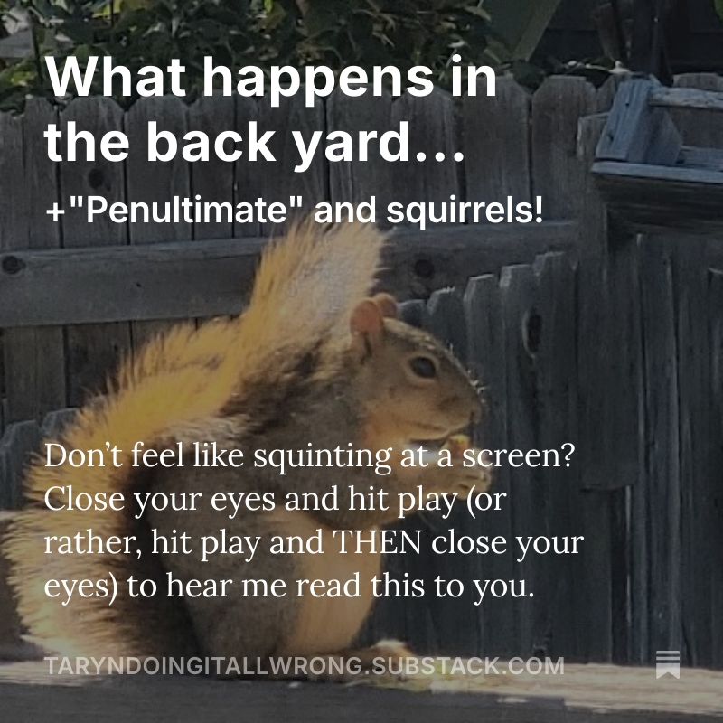 What happens in the back yard… +”Penultimate” and squirrels!